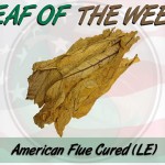 Leaf Of The Week: American Virginia Flue Cured L.E.