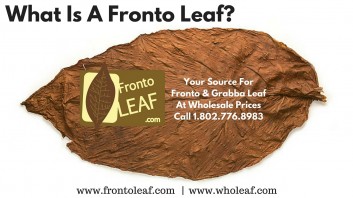 What Is A Fronto Leaf?  [Everything You Need To Know]