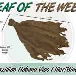 Leaf Of The Week: Brazilian Habano Viso Filler / Binder