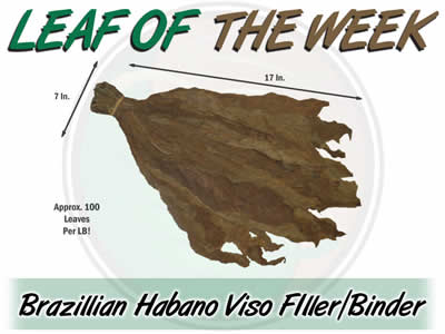 Leaf Of The Week: Brazilian Habano Viso Filler / Binder