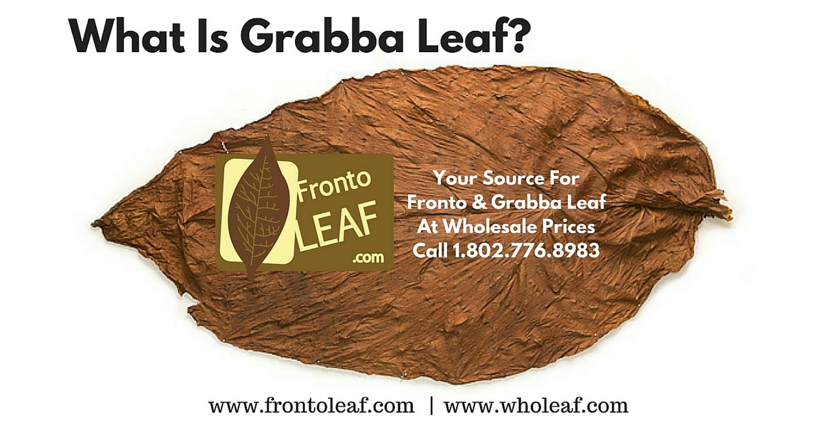 What Is Grabba Leaf?  Grabba Leaf Is A Way Of Smoking Fronto Leaf